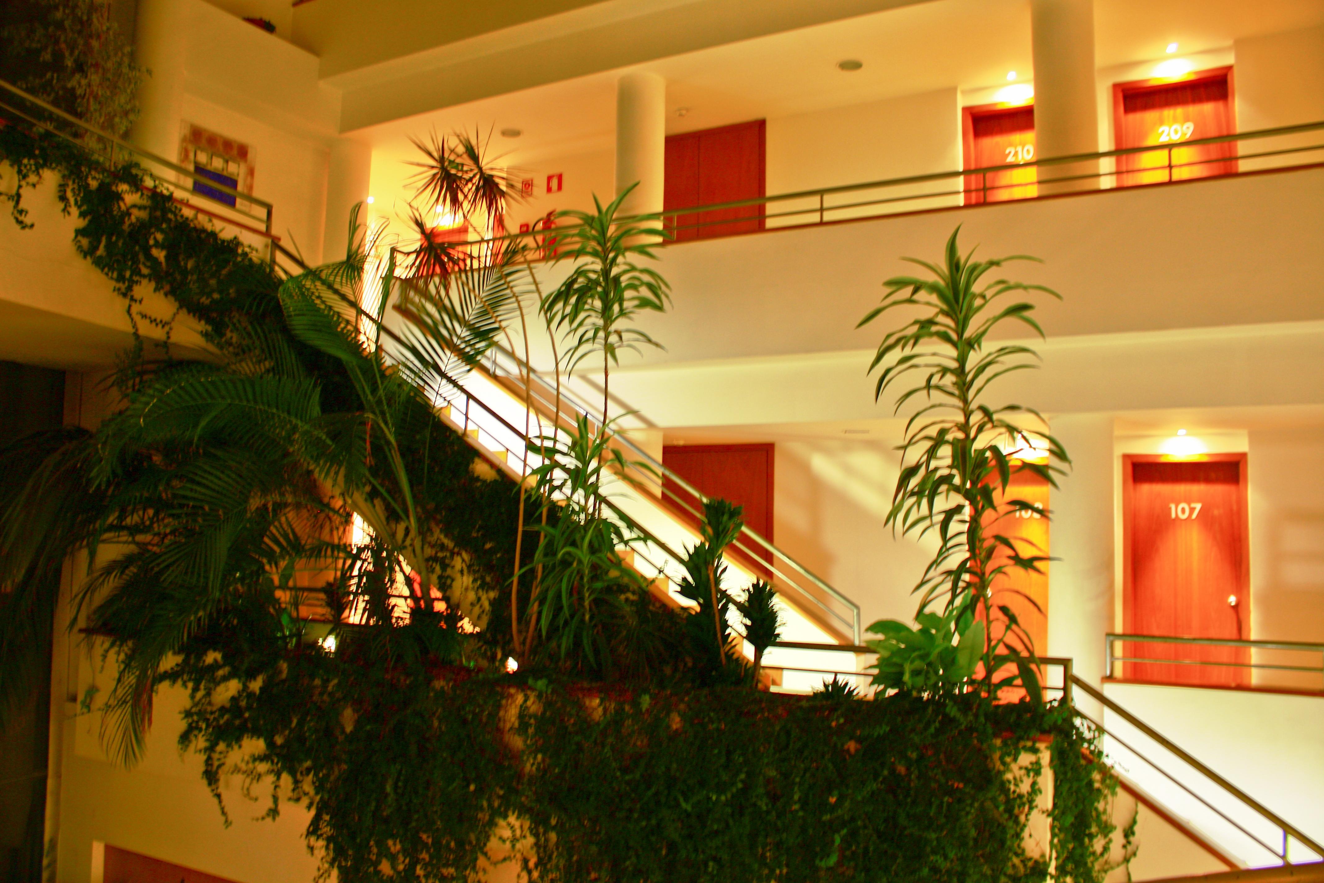 Hotel Taipas